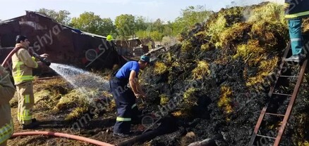 Արտակարգ դեպք՝ Կոտայքի մարզում. Պռոշյան գյուղում 700 հակ անասնակեր է այրվում. shamshyan.com