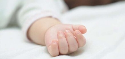 Առեղծվածային ու ողբերգական դեպք՝ Սյունիքի մարզում. 19-ամյա մայրը իր 2 ամսական աղջկան քնեցրել է օրորոցում, հետո հայտնաբերել մահացած. shamshyan.com