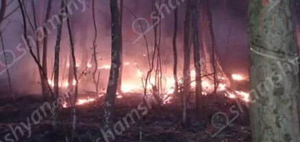 Լոռու մարզում հրշեջներն ու Շնողի անտառպետության աշխատակիցները պայքարում են անտառի տարածքում առաջացած կրակի դեմ. shamshyan.com