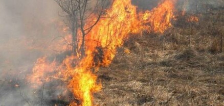 Դիլիջանի հանդամասերից մեկում այրվել է մոտ 23 հա խոտածածկույթ