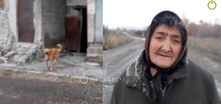 Էս երկրում շներին ավելի շատ պաշտպան կա, քան մեզ. Գյումրիի բնակիչ