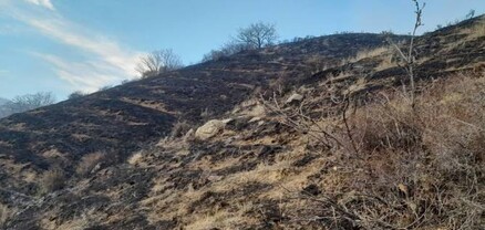 Բջնի գյուղի մոտակա սարում բռնկված հրդեհը մարվել է. այրվել է մոտ 20 հա բուսածածկույթ
