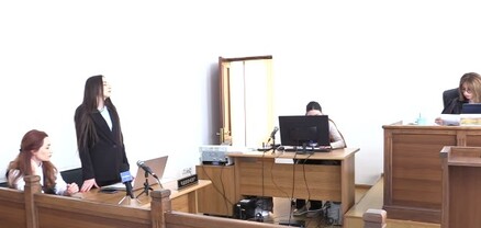 Լրագրող Հռիփսիմե Ջեբեջյանն՝ ընդդեմ Դիանա Մարտիրոսյանի գործով դատական նիստը․ ՈւՂԻՂ