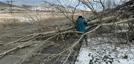 Փրկարարները ծառը հեռացրել են ճանապարհի երթևեկելի հատվածից