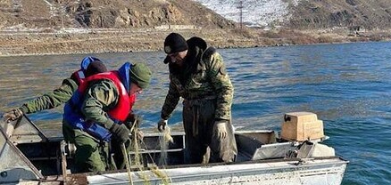 Ապօրինի որսագործիքների լճից դուրսբերման միջոցառումները շարունակում են