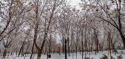 Առաջիկա օրերին օդի ջերմաստիճանն էապես չի փոխվի