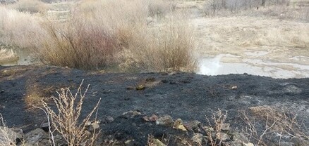 Սարատովկա գյուղում այրվել է խոտածածկույթ