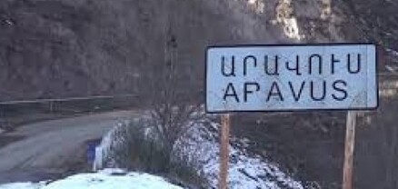 Ադրբեջանցիները գողացել են Արավուսի բնակչի ոչխարները