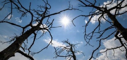 Օդի ջերմաստիճանը կբարձրանա ևս 3-5 աստիճանով