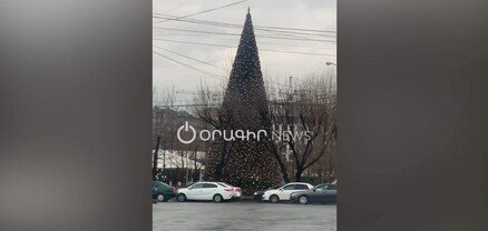 «Երազ» այգու տոնածառը խորհրդանշում է բոլոր տոները