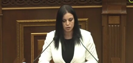 Զելենսկու այցը կդառնա Ադրբեջանի հարձակման կատալիզատոր․ Արեգնազ Մանուկյան