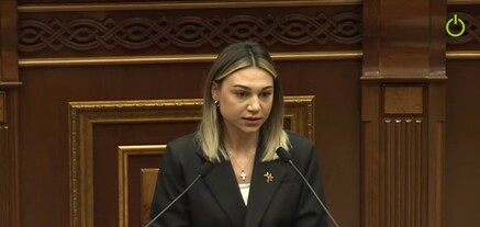 Նախագիծը ոչ թե նույնասեռականներին պաշտպանելու, այլ ընտանեկան բռնության կանխարգելման մասին է