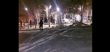 Քամու հետևանքով Երևանում տապալվել են ծառեր, թուլացել և պոկվել են ալեհավաքներ և տանիքների թիթեղներ