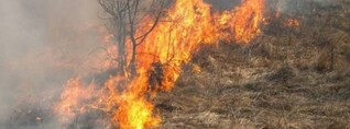 Ուռուտ գյուղում այրվել է մոտ 50 հա խոտածածկույթ