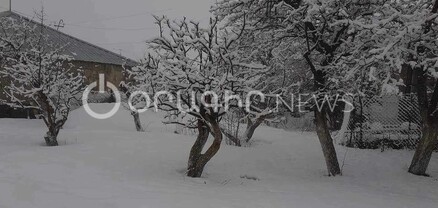 Շիրակի մարզի Ամասիա և Աշոցք բնակավայրերում առատ ձյուն է տեղացել