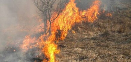Ուռուտ գյուղում այրվել է մոտ 50 հա խոտածածկույթ