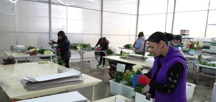 Արտոնություններ՝ ջերմոցները զարգացնելու վարկային գծերի համար