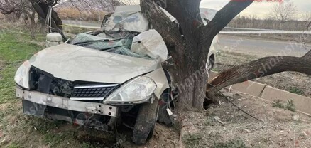 Արարատի մարզում 32-ամյա վարորդը «Nissan»-ով բախվել է ծառին. կա վիրավոր. shamshyan.com