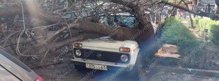 Երևանում հաստաբուն ծառը կոտրվել և ընկել է ավտոմեքենաների վրա․ shamshyan.com