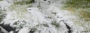 Սա ձյուն չէ, այլ կարկուտ. Գագիկ Սուրենյանը լուսանկար է հրապարակել