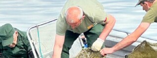 Սևանա լճից դուրս է բերվել ապօրինի տեղադրված 41 հատ խեցգետնաորսիչ և 8 ձկնորսական ցանց