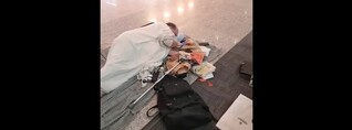 «Զվարթնոց» օդանավակայանում հացադուլ անող ֆրանսահայ լրագրող Լեո Նիկոլյանի վիճակը ծայրահեղ ծանր է