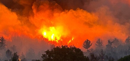 Թուրքիան՝ կրակի ճիրաններում․ երկրում կրկին անտառային հրդեհներ են մոլեգնում