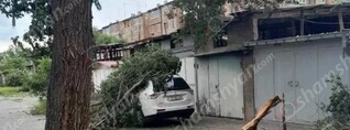 Արմավիրում ուժեղ քամու հետևանքով ծառի ճյուղը պոկվել ու ընկել է կայանված ավտոմեքենայի վրա. shamshyan.com
