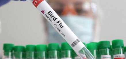 H5N2 գրիպից մահվան առաջին դեպքն է գրանցվել