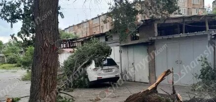 Արմավիրում ուժեղ քամու հետևանքով ծառի ճյուղը պոկվել ու ընկել է կայանված ավտոմեքենայի վրա. shamshyan.com
