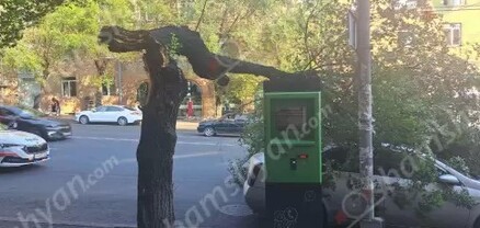 Երևանում  ծառի ճյուղը քամուց պոկվել և ընկել է մեքենայի վրա. shamshyan.com