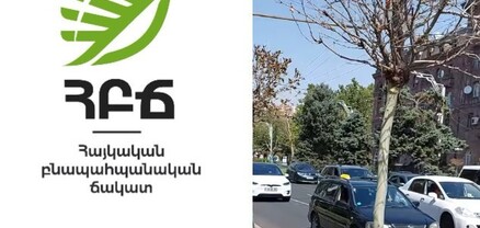 Ինչո՞ւ են չորացել գնդաձև սոսիները․ ՀԲՃ