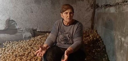 Կարտոֆիլը պահեստներում փչանում է, ֆուռերը չեն տանում. ֆերմեր