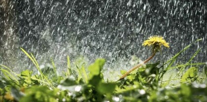 Սպասվում է անձրև և ամպրոպ, առանձին հատվածներում կտեղա կարկուտ