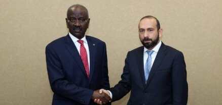 ՀՀ-ի և Մավրիտանիայի ԱԳ նախարարները քննարկել են երկկողմ հարաբերությունների զարգացման հնարավորությունը
