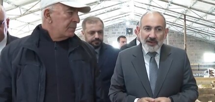Էս պոչավոր սո՞րտն ա․ Փաշինյանը հետաքրքրվել է ոչխարաբուծությամբ