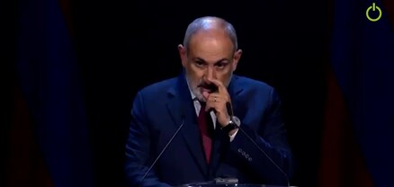 Հայաստանում գործ սարքելու ինստիտուտը վերացված է․ Նիկոլ Փաշինյան