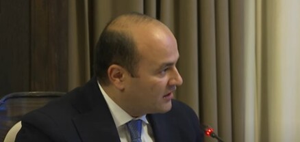 Հայաստանում 80 հազար աղջիկ չի ծնվել՝ սելեկտիվ աբորտների պատաճառով
