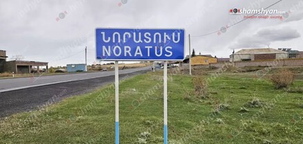 Նորատուսի անտառում ծառերի սպանդ է իրականացվել. shamshyan.com