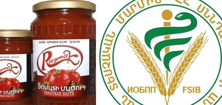 Վախենո՞ւմ են, թե՞ մեղավոր․ «Ռագմակ»-ի գործունեությունը կասեցվել է