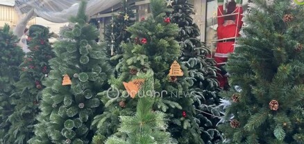Ամանորյա աժիոտաժը սկսված է․ ի՞նչ արժեն տոնածառերն ու չարազը Փեթակում