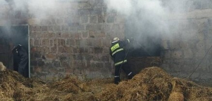 Այրվել է մոտ 500 հակ անասնակեր
