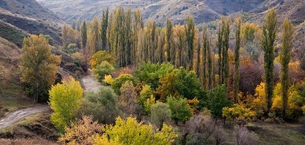 «Խոսրովի անտառ»-ում ԱԹՍ-ով իրականացվել է տարածքների ուսումնասիրություն և հետախուզություն