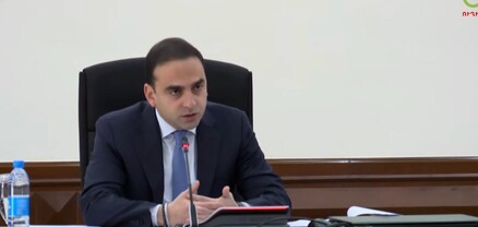 Ծտերի միգրացիայի վրա է ազդում լեդ լույսերի լուսավորությունը, պետք է նոր ծրագիր ներկայացնեք. Ավինյան