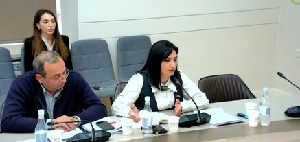 Երբ Ալեն Սիմոնյանը թքեց քաղաքացու դեմքին, էթիկայի հանձնաժողով պիտի այդ ժամանակ ստեղծեինք. Թովմասյան