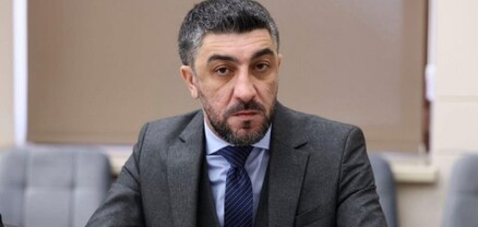 Վիլեն Գաբրիելյանը խնդրանքով դիմել է պատգամավորներին