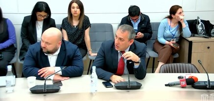 Այո, թերացել եմ, երբ լրագրող Անի Գևորգյանին Ալեն Սիմոնյանի թիկնապահները դուրս հանեցին ԱԺ-ի շենքից