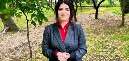 Լրագրող Անուշ Միրզոյանն ազատ արձակվեց
