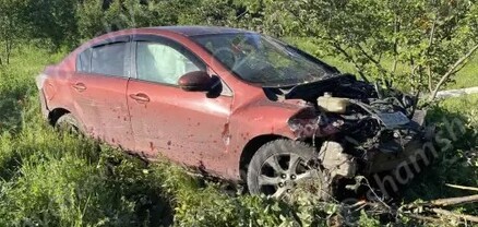 Երևան-Մեղրի ավտոճանապարհին 24-ամյա վարորդը Mazda-ով հայտնվել է բնակչի այգում՝ արմատախիլ անելով մրգատու ծառեր․ կա վիրավոր․ shamshyan.com