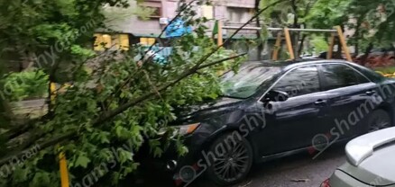 Երևանում ուժեղ քամու հետևանքով ծառի ճյուղը պոկվել և ընկել է կայանված Toyota Camry-ի վրա․ shamshyan.com